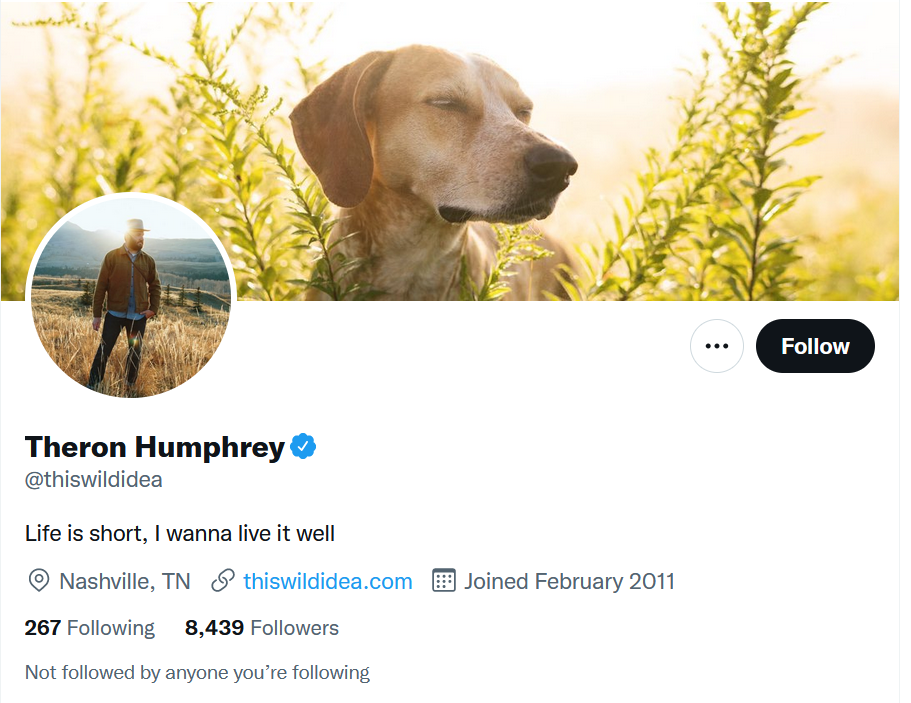 thiswildidea twitter