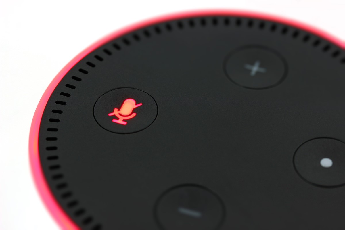 Flaws in Amazon Echo