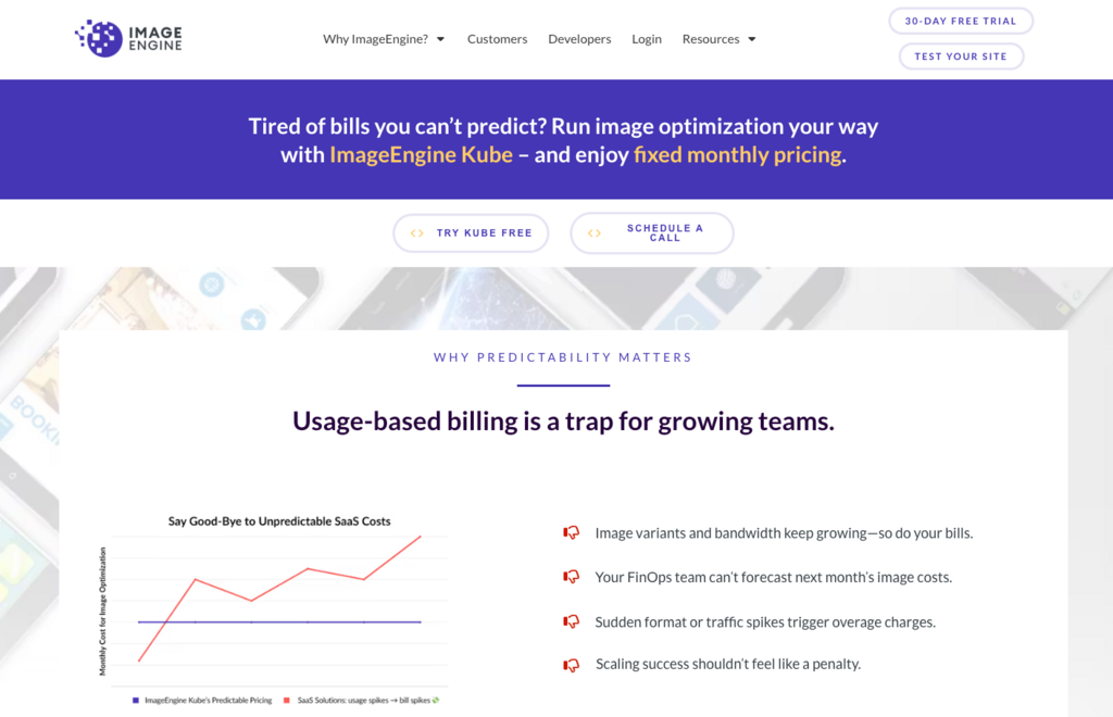 Image Hosting Platforms