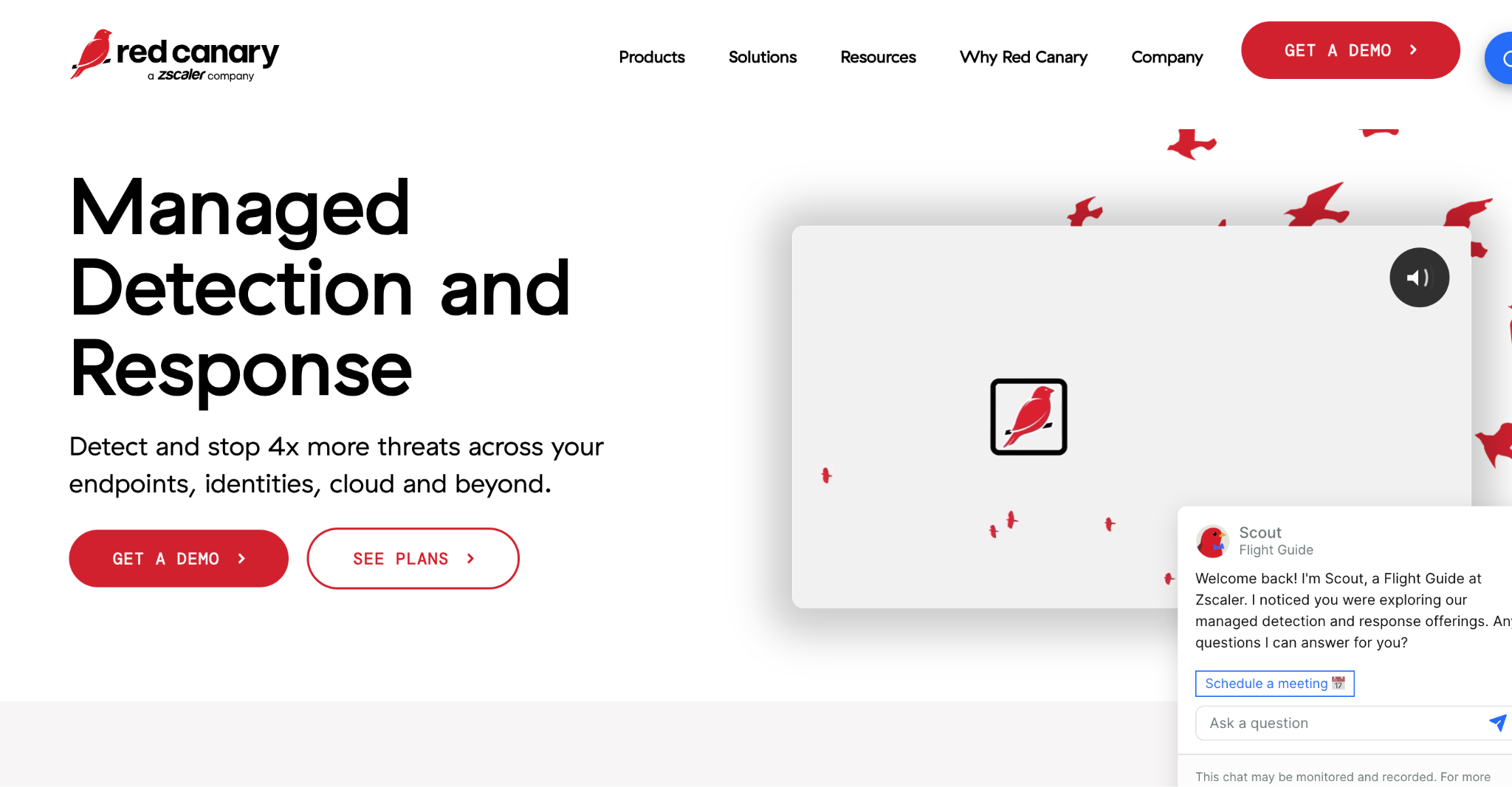 Red Canary