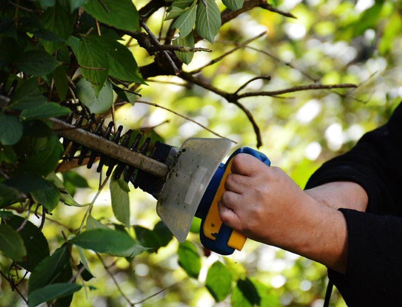What Is Content Pruning?