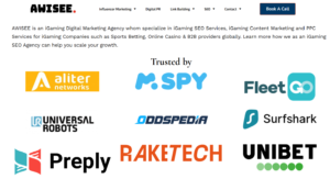 Ecommerce SEO Strategist