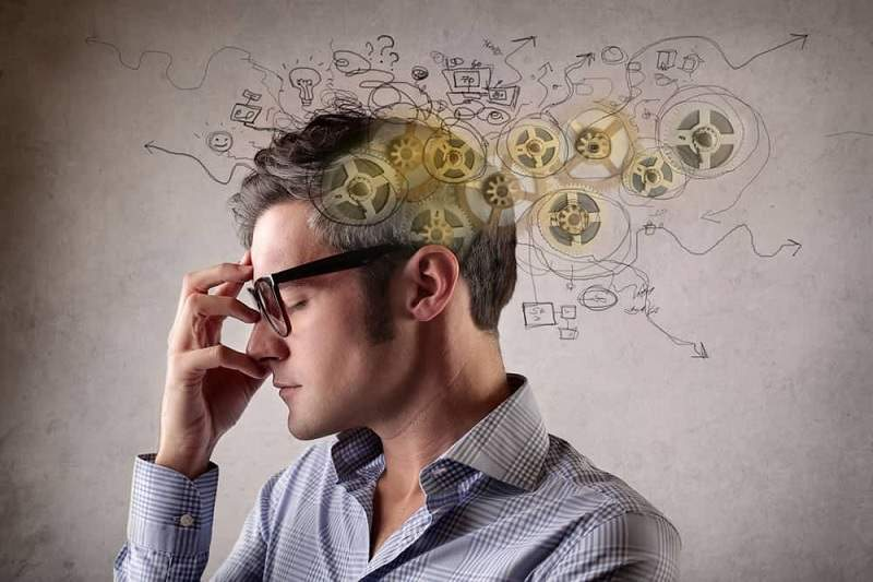 Impacts SEO Decision Making