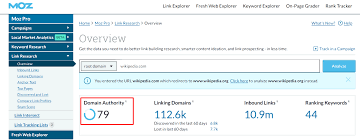 Identifying Authoritative Websites