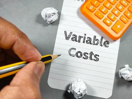 Reasons for Cost Variability