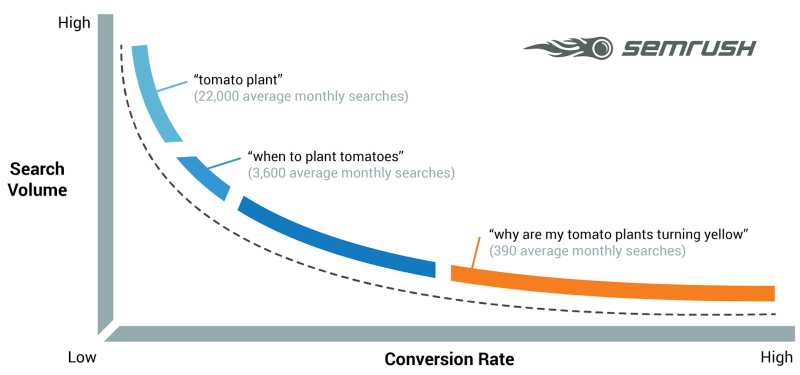 Develop an SEO strategy