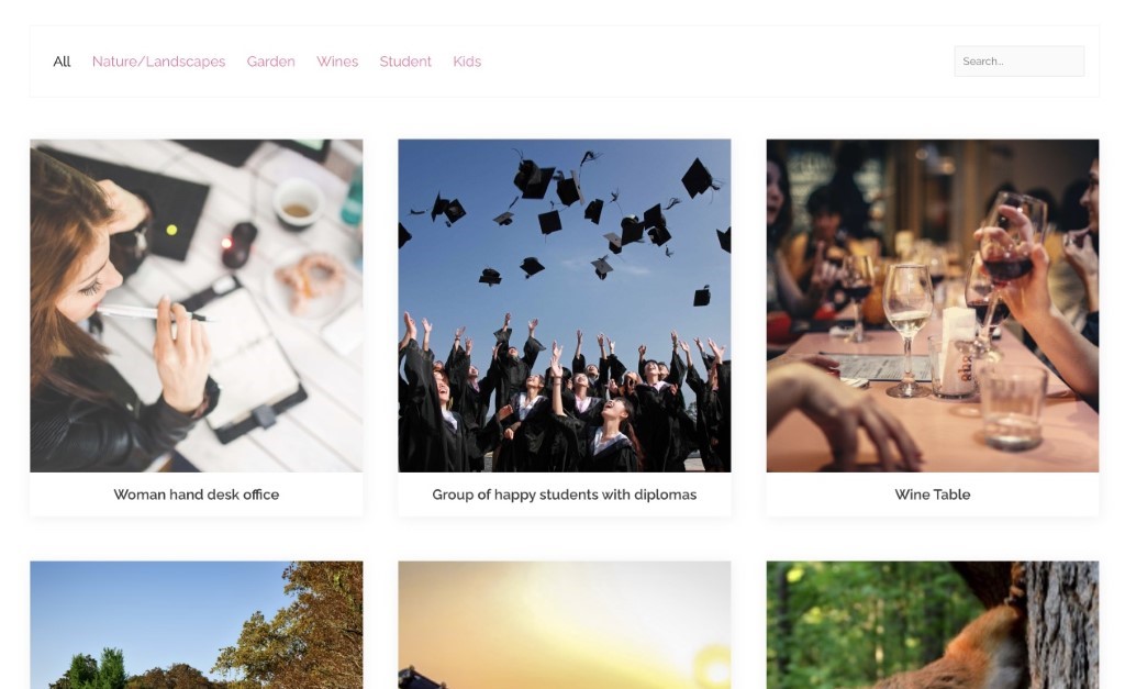 Display Your Portfolio