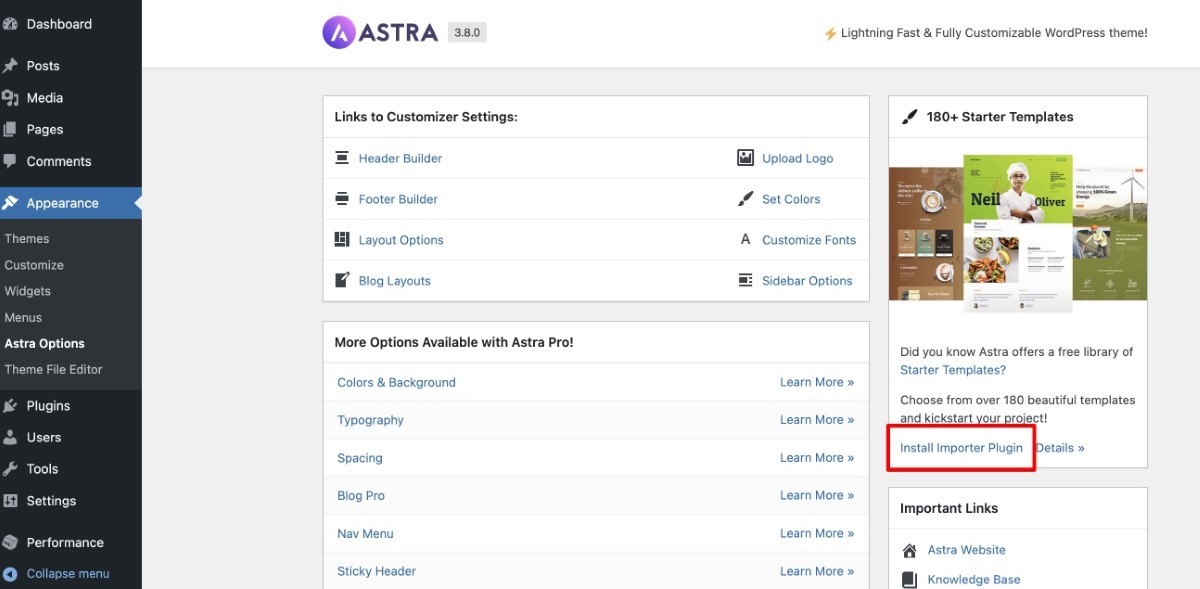Install importer plugin