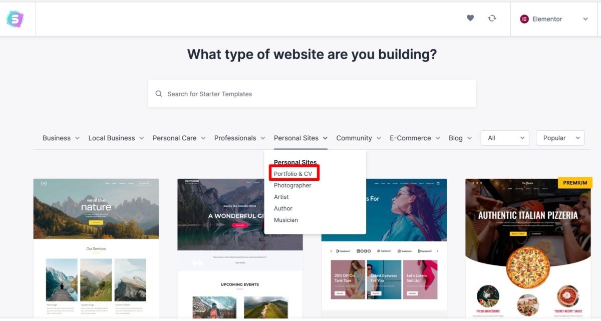 Pick type of website that you are building