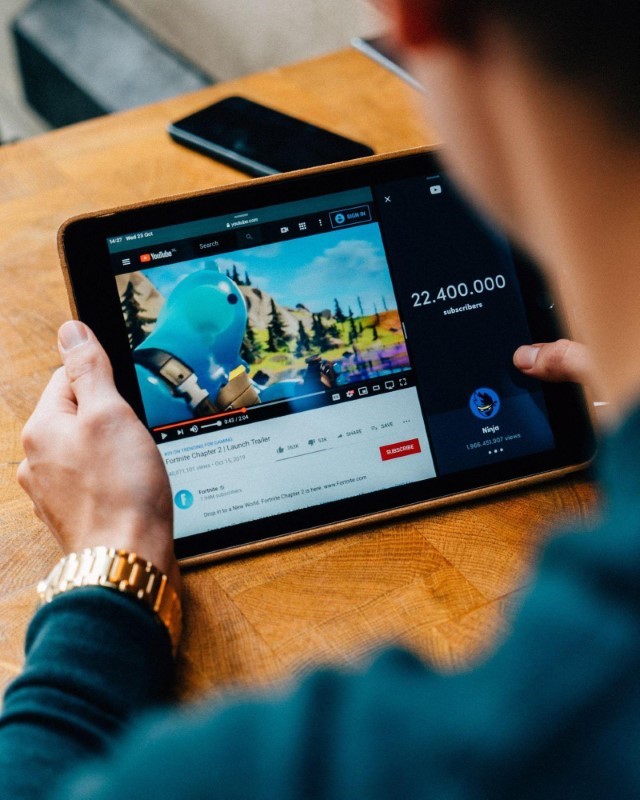 YouTube or Video Snippets