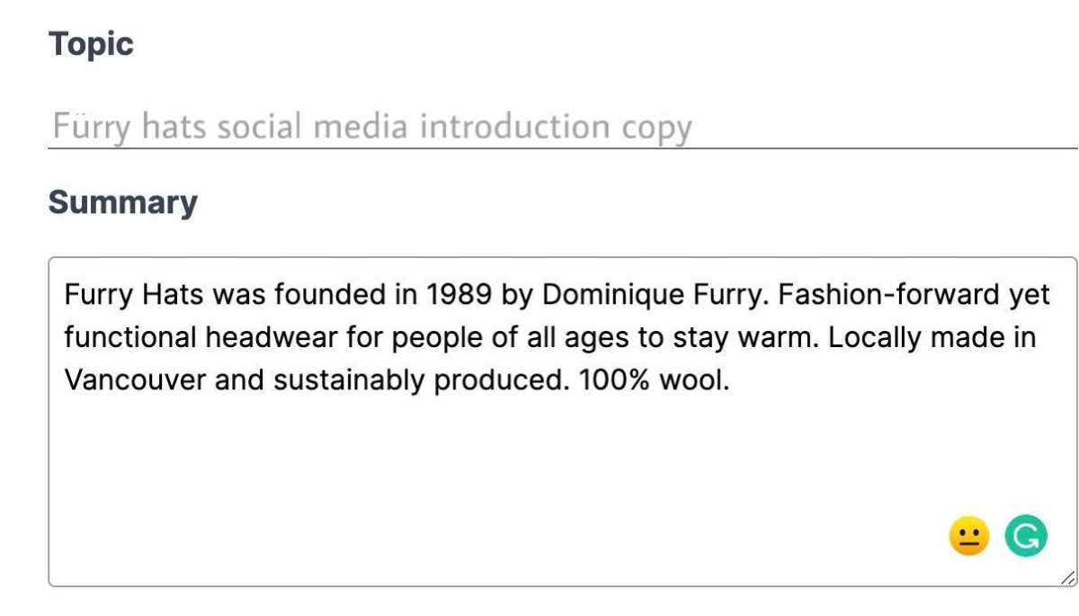 example of a summary that fulfills these criteria