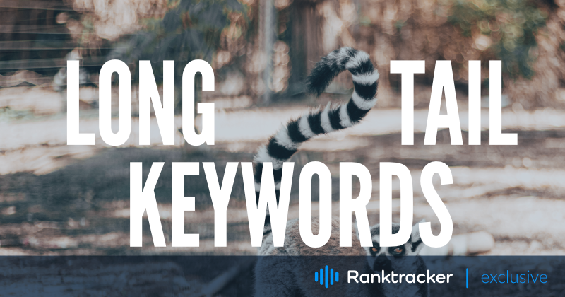 Long Tail Keywords in SEO: What Are They & How to Use them?