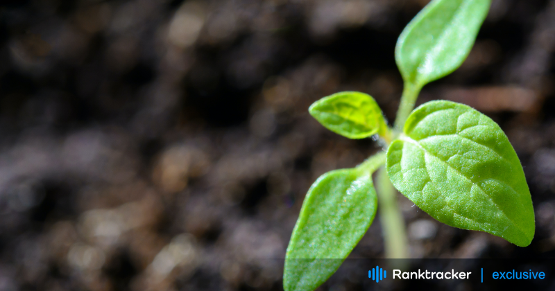 Marketing and Branding Your Podcast in 2024