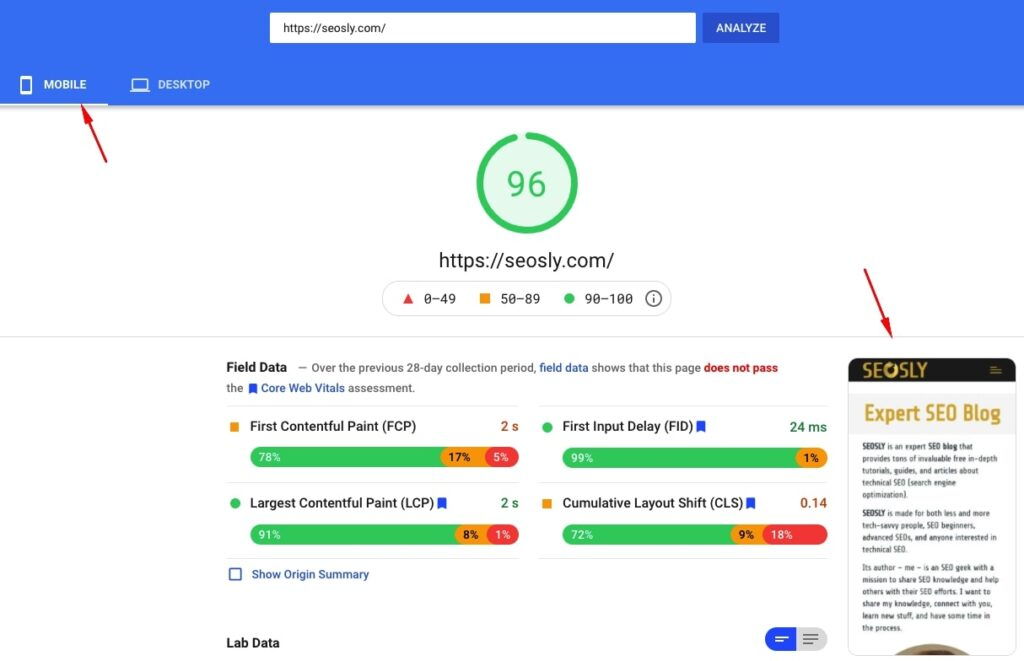PageSpeed Insights results