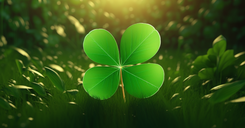clover