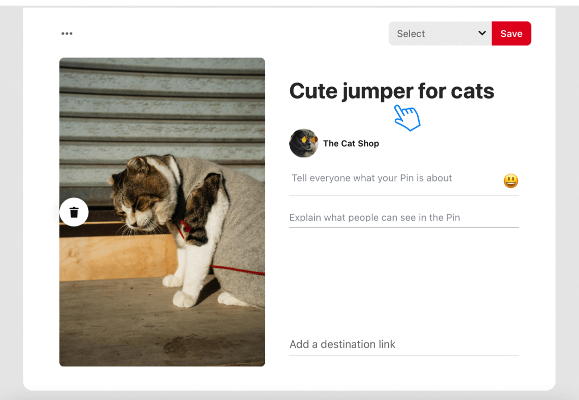 Write a compelling title for your pins