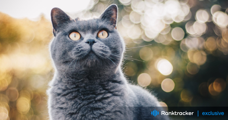 SEO Basics: How To Do Keyword Research