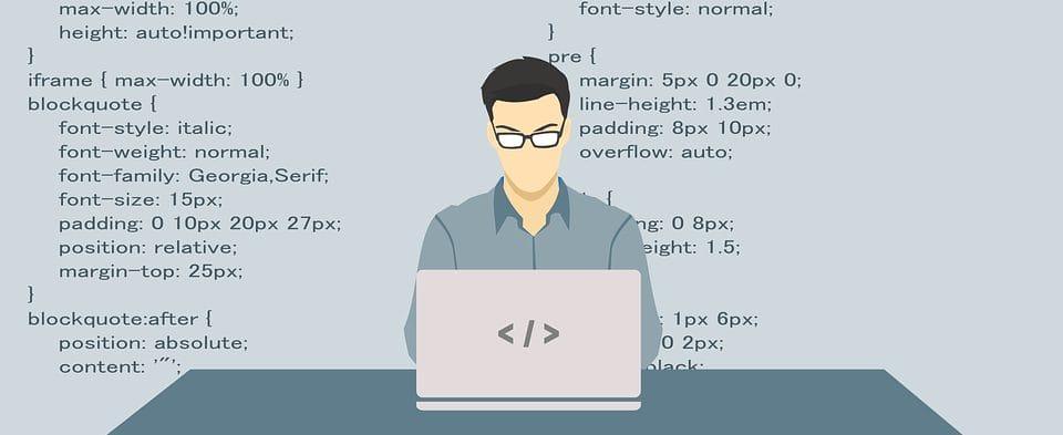 SEO Developer