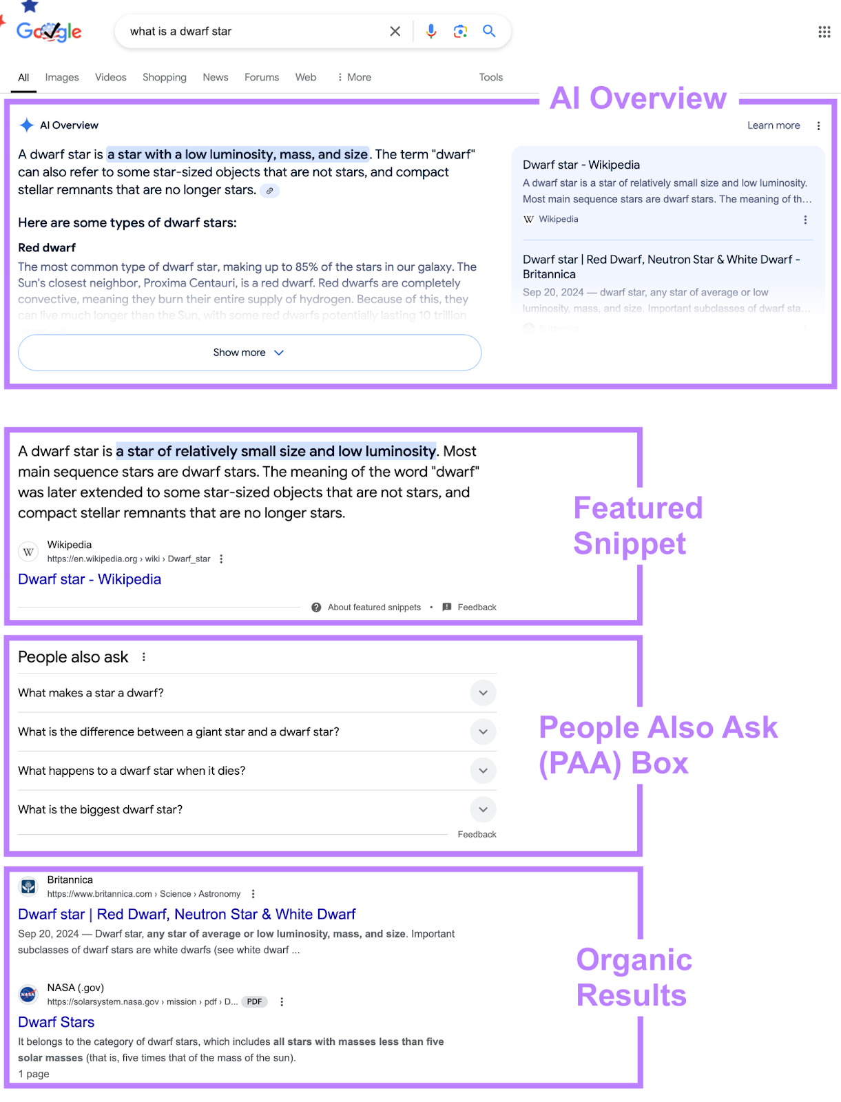 SERP Insight
