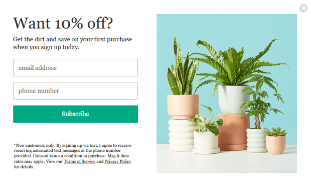 Email Marketing