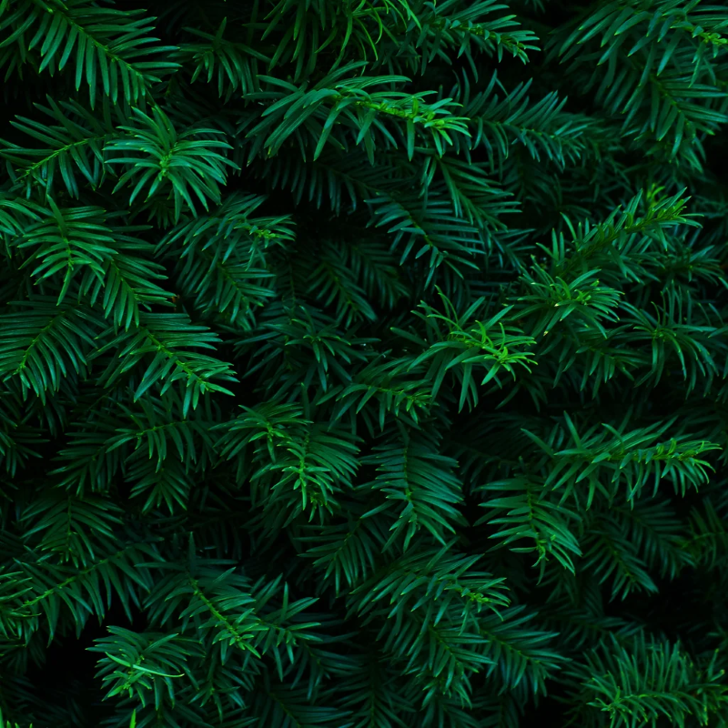 6 Evergreen tips to help you write better landing page copy today