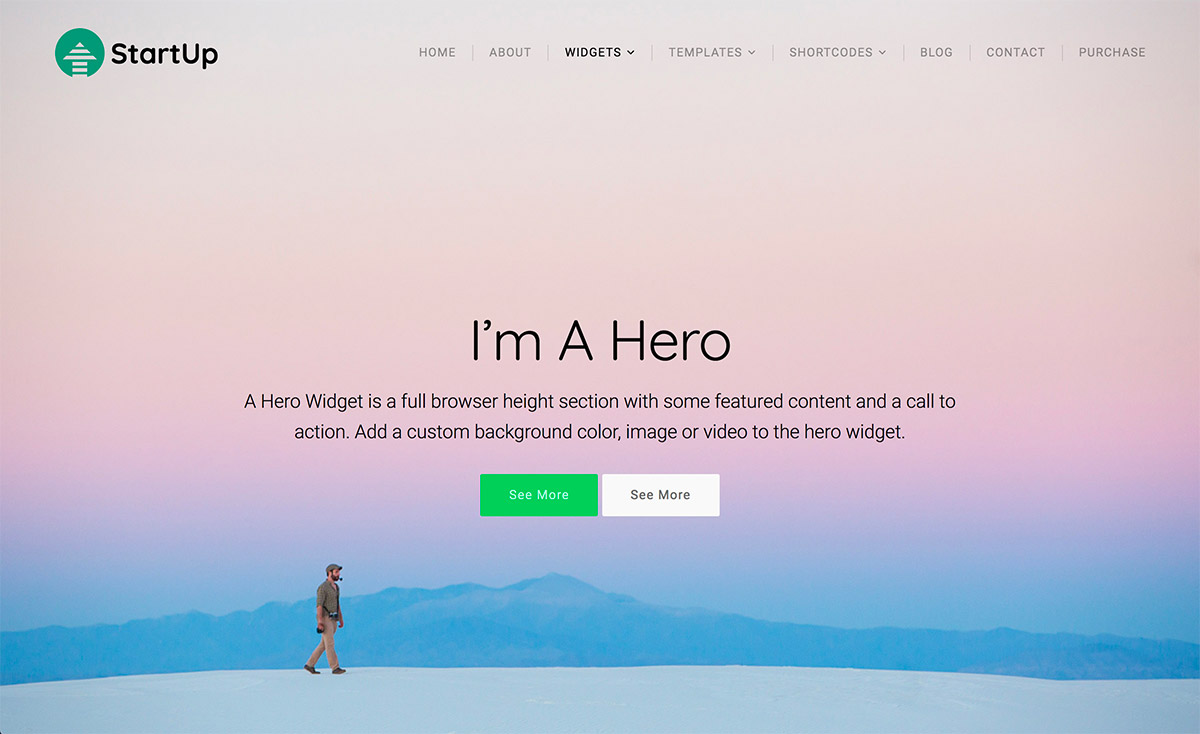 Hero Section