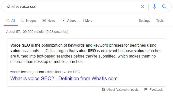 Google SERP Results