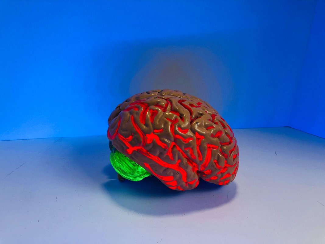 The Psychology of Search and How it Affects User Behavior