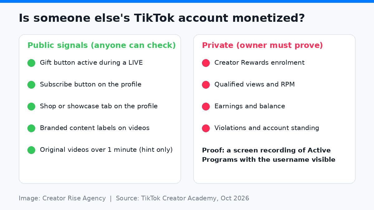reator Rise Agency. Based on TikTok program pages