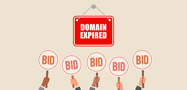 Holding Expired Domain Auctions