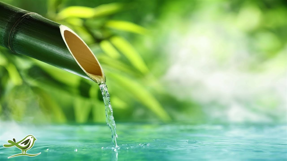 Add Calming Music to Emphasize the Sound