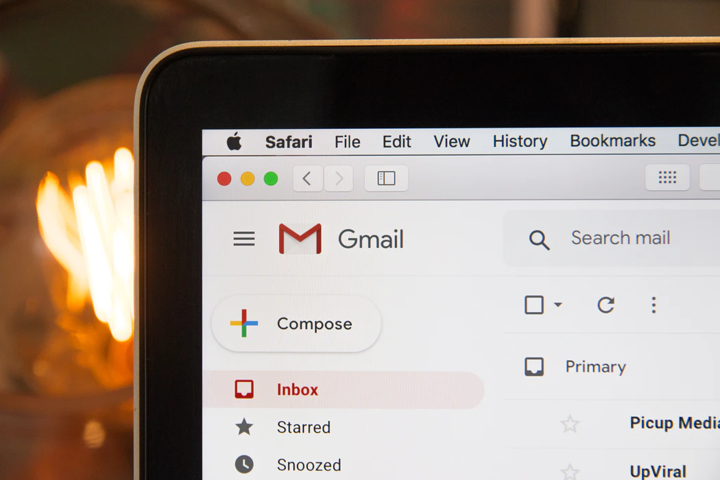 What is email whitelisting