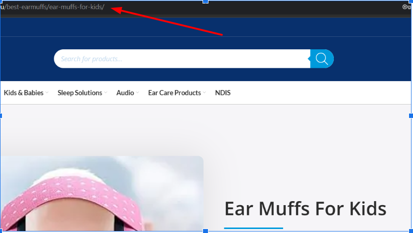 Page URLs